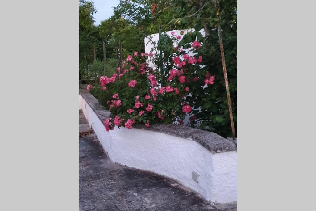 Trulli Relax A Martina Franca Villa Dış mekan fotoğraf