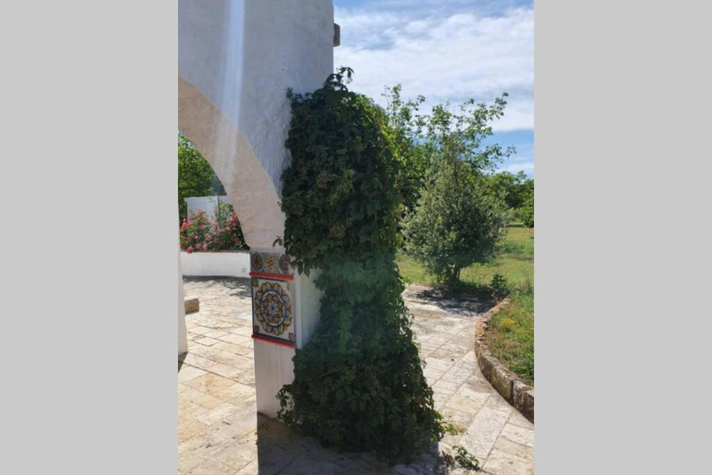 Trulli Relax A Martina Franca Villa Dış mekan fotoğraf